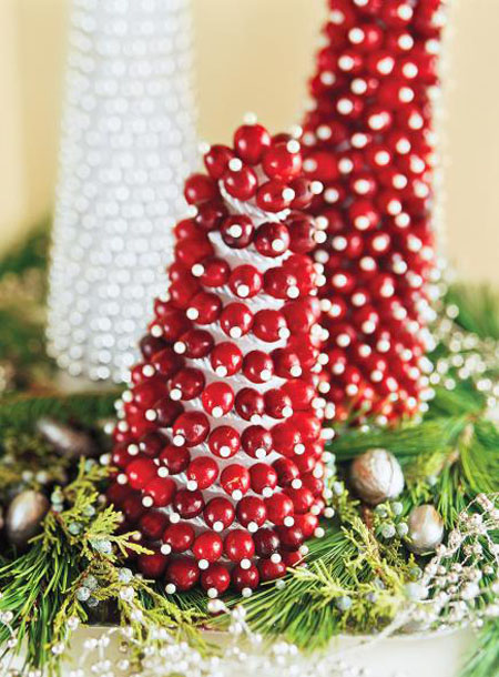 cranberry-christmas-decorations-14