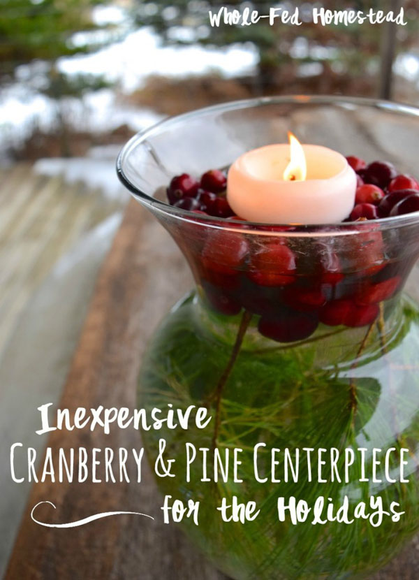 cranberry-christmas-decorations-16