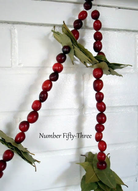 cranberry-christmas-decorations-24