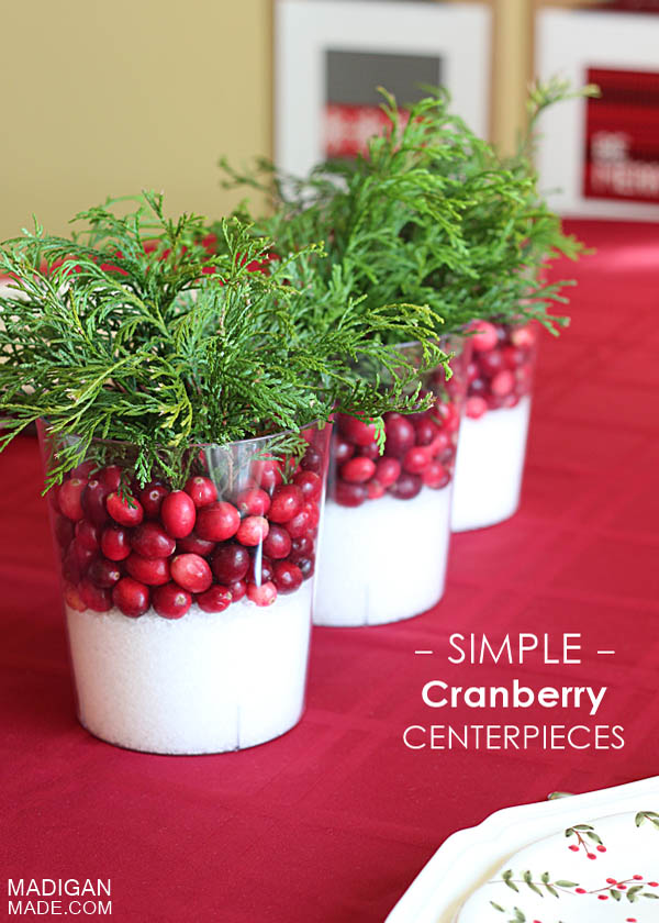 cranberry-christmas-decorations-3