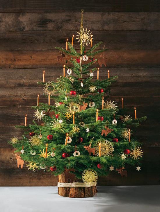most-beautiful-christmas-trees-12