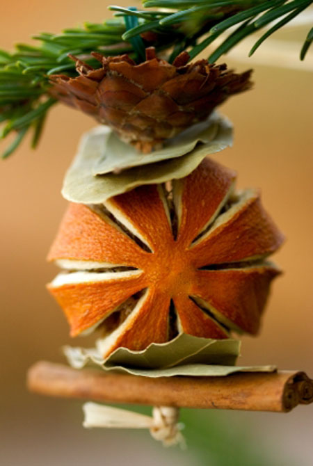 Christmas Tree Ornament Made From Dried Fruit, Spices and Plants
