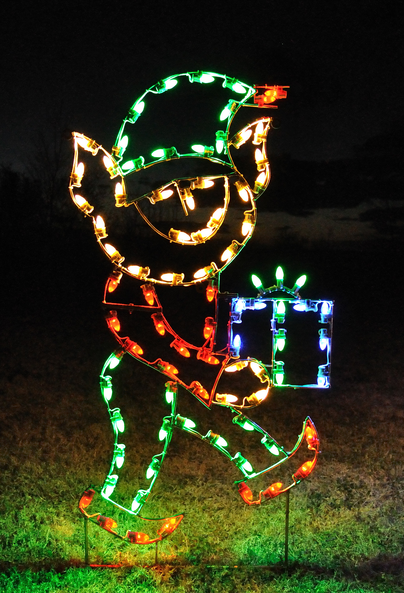 40 Outdoor Christmas Lights Decorating Ideas - All About Christmas