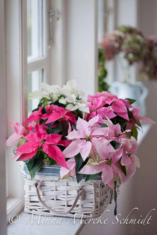 pink-christmas-decorations-38